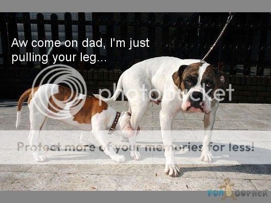 http://i1143.photobucket.com/albums/n627/thedogcody/Aw-come-on-dad-I-m-just-pulling-you_zps74ec9fc5.jpg