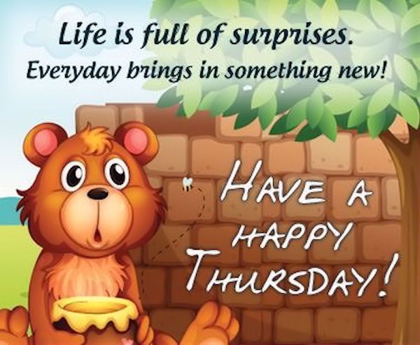 Pin on Funny quotes