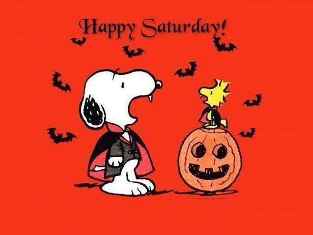 Halloween Happy Saturday quotes quote morning snoopy halloween saturday  saturday quotes happy saturday  Snoopy halloween Charlie brown halloween  Snoopy
