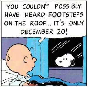Snoopy hears footsteps on the 20th of December  Snoopy love Charlie  brown and snoopy Snoopy