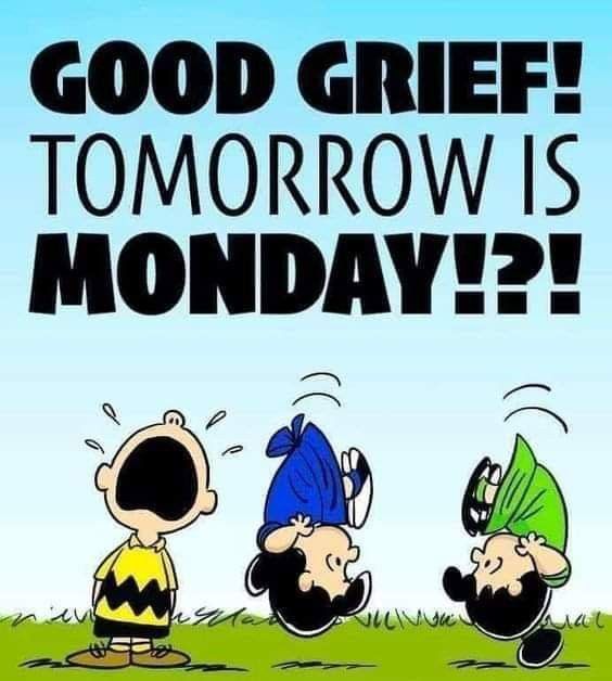 Pin by Lisa Novak on Peanuts  Tomorrow is monday Monday