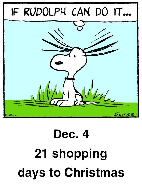 Christmas countdown panel  Snoopy christmas Snoopy funny
