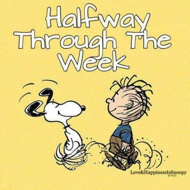 10 Wednesday Snoopy Quotes  Pictures  Snoopy quotes Happy wednesday  quotes Wednesday humor
