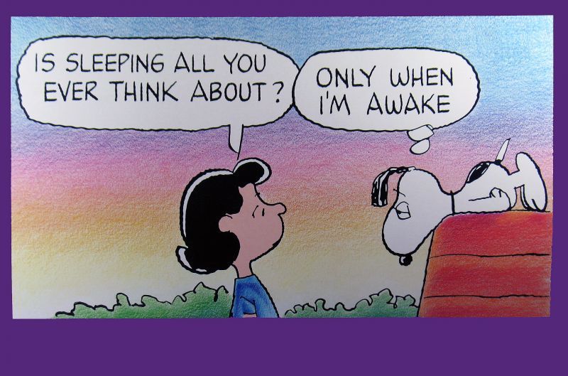 Snoopn4pnutscom  Snoopy Snoopy love Snoopy quotes