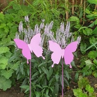 louise.whittington100