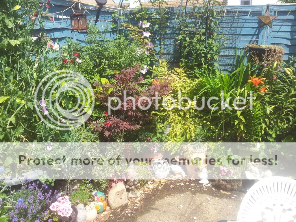 http://i1300.photobucket.com/albums/ag97/Bev_Pounsett-Krynauw/1222-07-13_zpsf5bce545.jpg