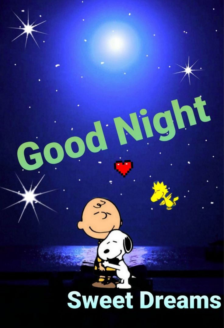 good-night  Good night greetings Snoopy images Good night wishes