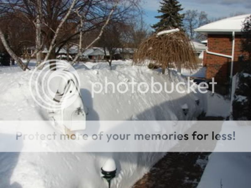 http://img.photobucket.com/albums/v11/otnorot/things/160dc78a-2f00-4dc1-8273-ce9c18546a52_zpse3dcd185.jpg
