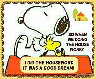 If only Housework Dreams Worked   Inspirational message Housework  Childhood memories