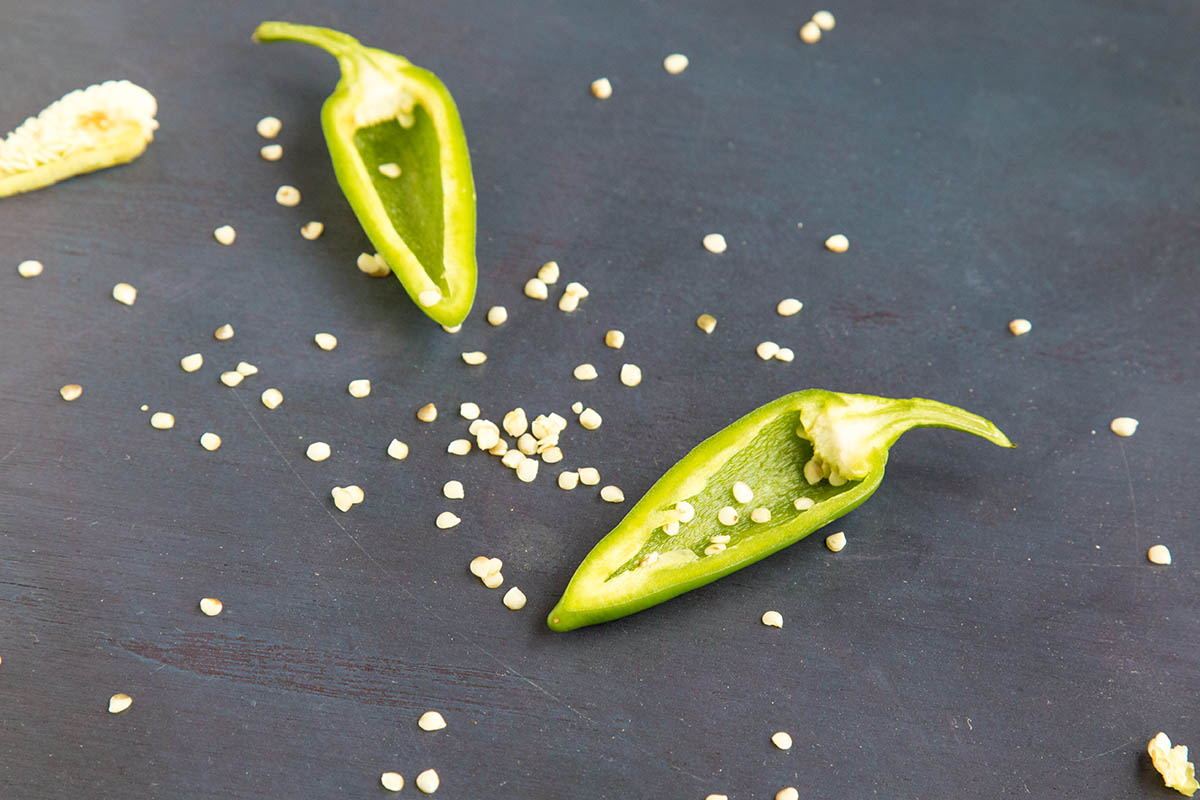Saving Chili Pepper Seeds for Growing Later - Chili Pepper Madness