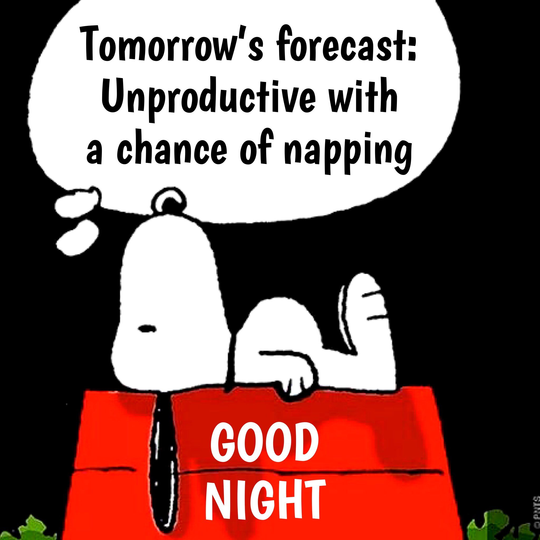 52 SNOOPY SLEEPING ideas  snoopy snoopy love charlie brown and snoopy
