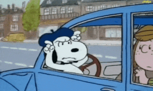 9 Best charlie broun ideas  snoopy charlie brown and snoopy snoopy love