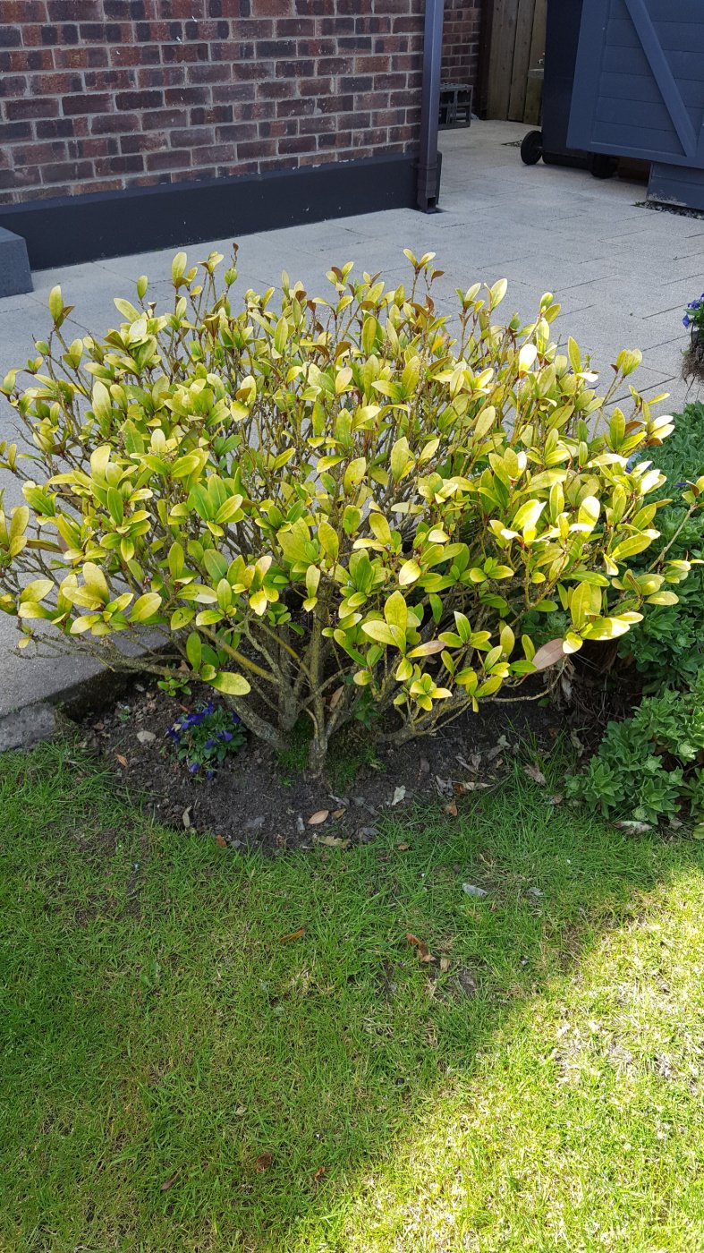 Image: https://us.v-cdn.net/6030279/uploads/editor/4s/yjkiw5a9flz6.jpg