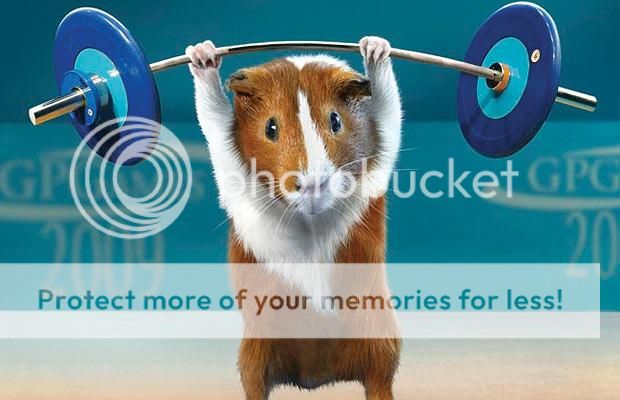 http://i1143.photobucket.com/albums/n627/thedogcody/GUINEA-PIG-WEIGHT-L_786613i.jpg