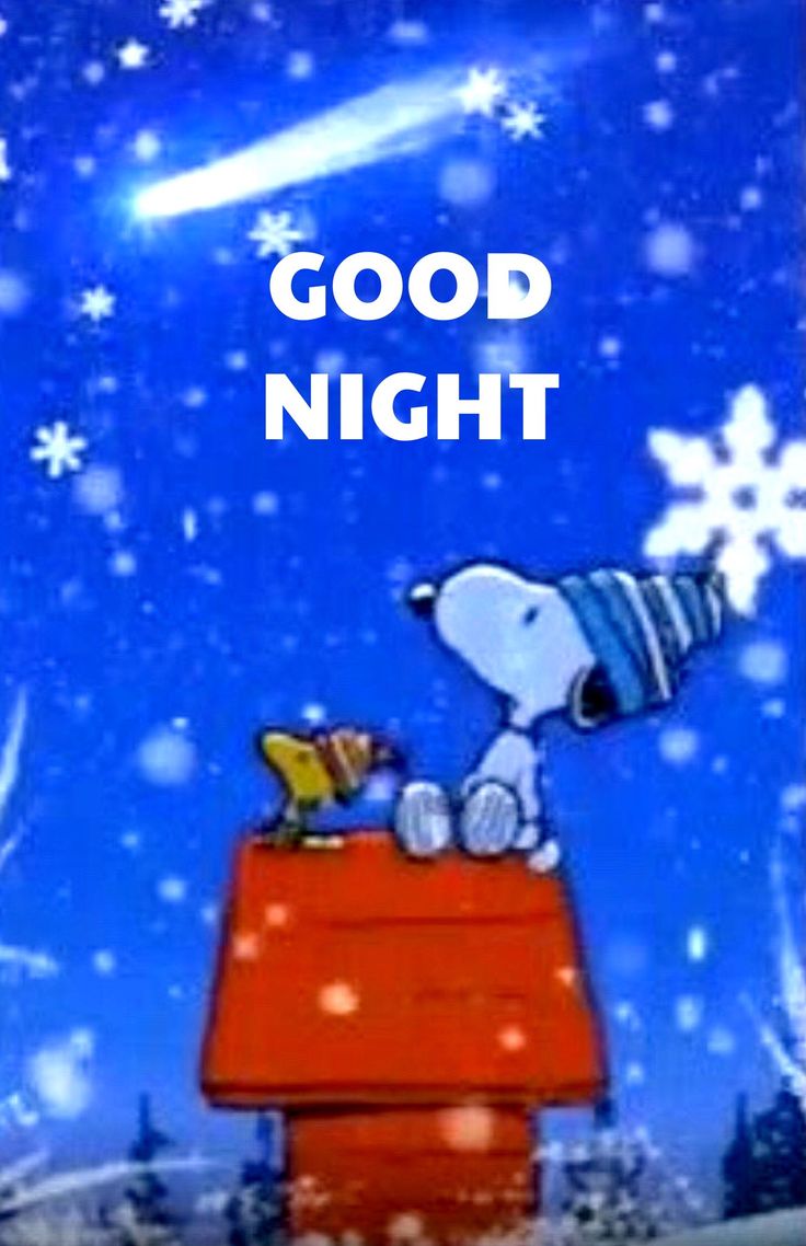 Pin by Claudia London on Night  Charlie brown and snoopy Snoopy Peanuts  snoopy