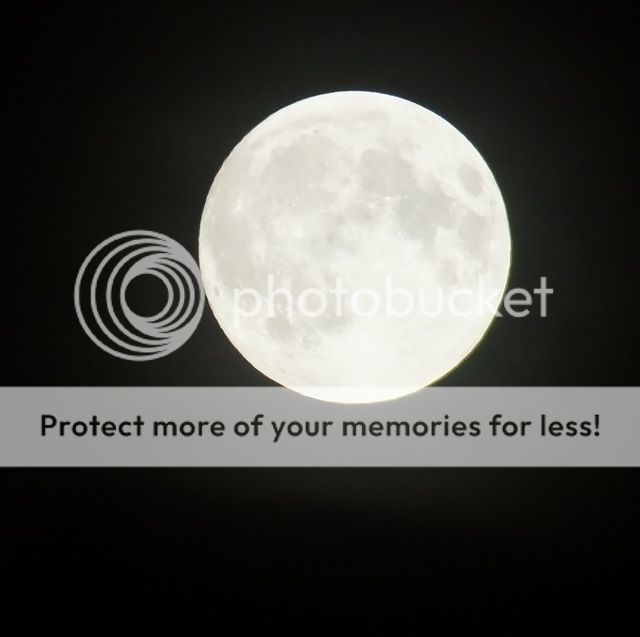 http://i27.photobucket.com/albums/c186/DavidKnapper/008_zpsruthvp6s.jpg