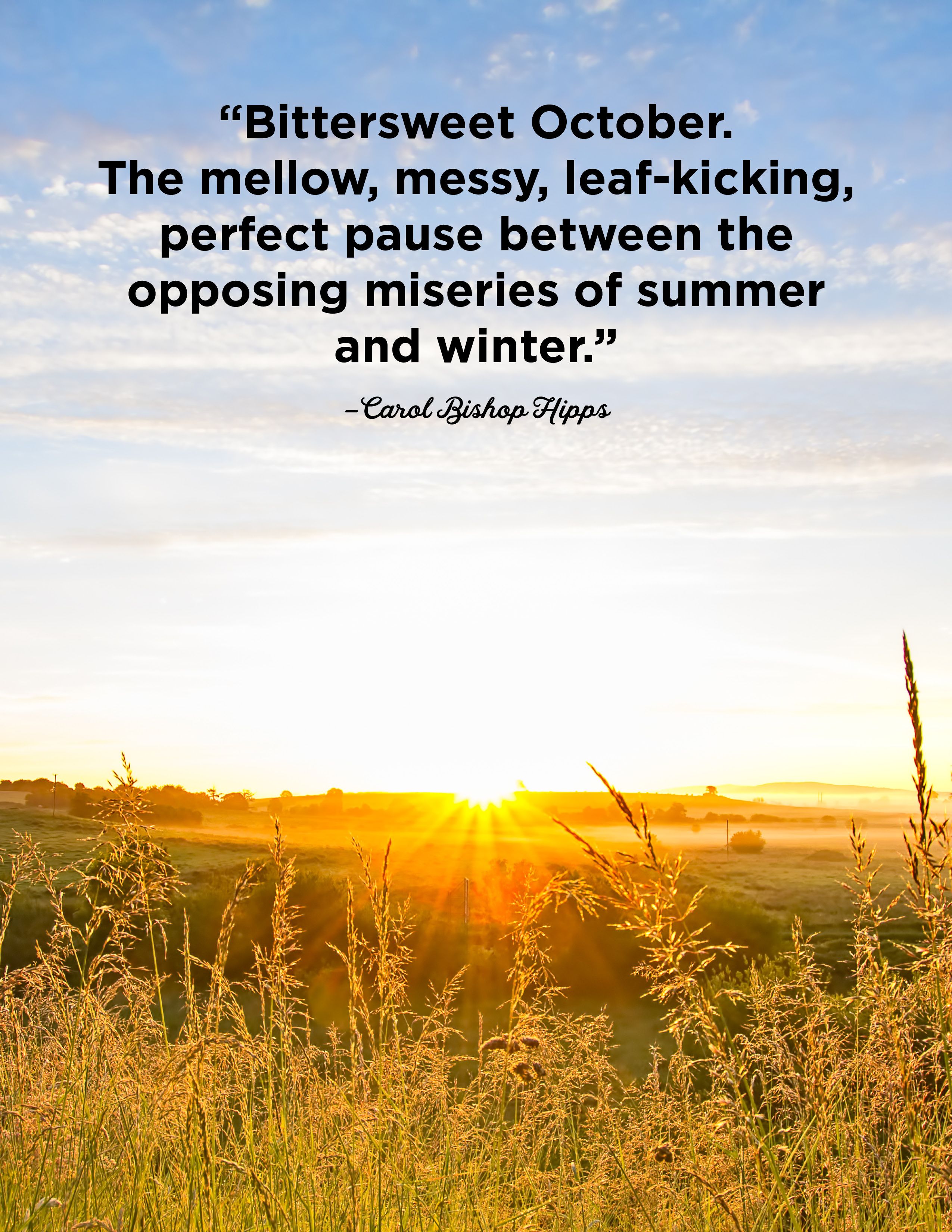 25 October Quotes - Famous Sayings and Quotes about October