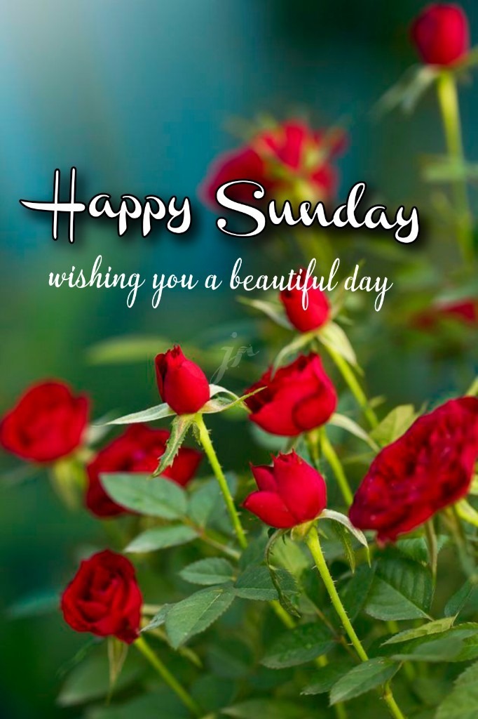 510 Sunday Pictures Images Photos