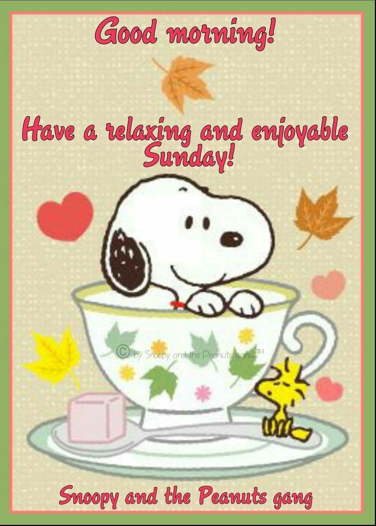 Good Morning   Happy sunday images Snoopy Snoopy pictures
