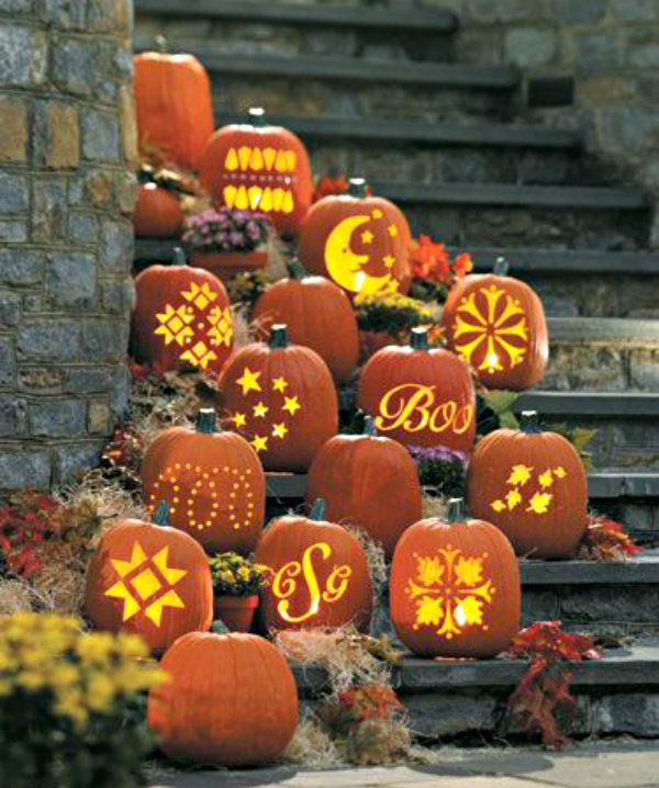 Image result for Beautiful pumpkin images