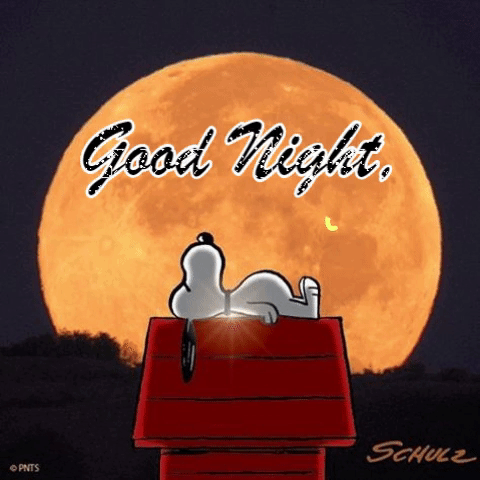 Snoopy Good Night Y39all animated gif  Goodnight snoopy Funny good  night images Snoopy good night