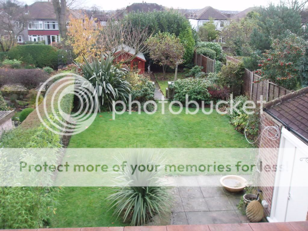 http://i232.photobucket.com/albums/ee192/thebear843/Garden/036_zps57486f74.jpg