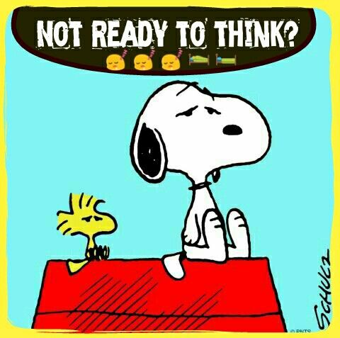Suddenly Thunder  Lightening very very Frightening hehe  Snoopy and  woodstock Charlie brown and snoopy Snoopy