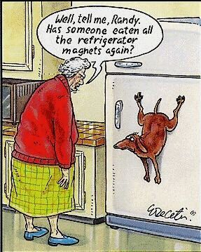 http://www.funnyfidos.com/wp-content/uploads/2009/06/funny-dog-cartoon-dog-magnet.jpg