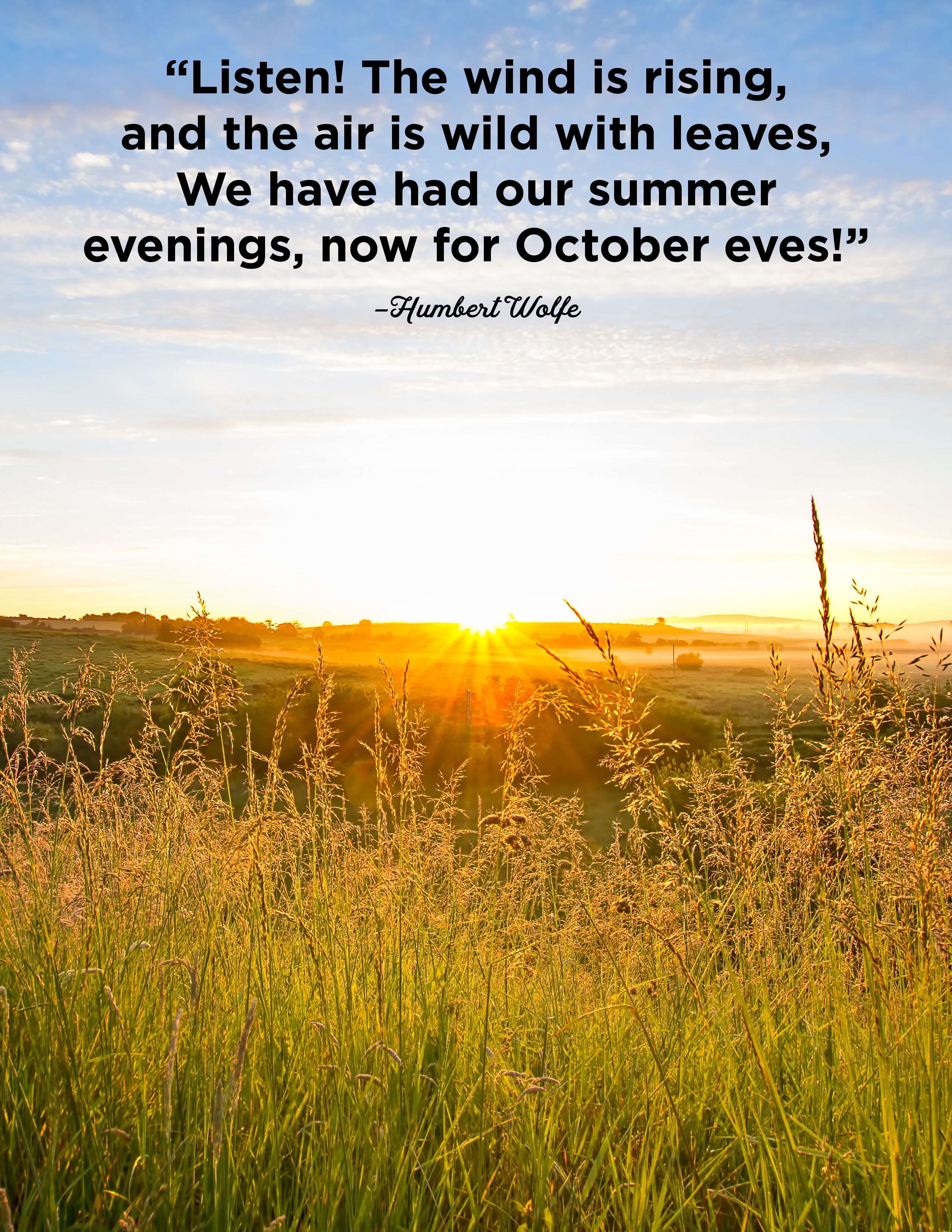 25 October Quotes - Famous Sayings and Quotes about October