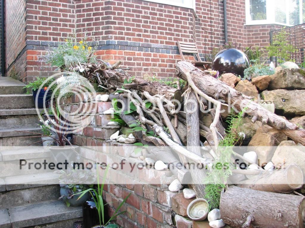 http://i1076.photobucket.com/albums/w443/El_Chaffinch/013copy.jpg