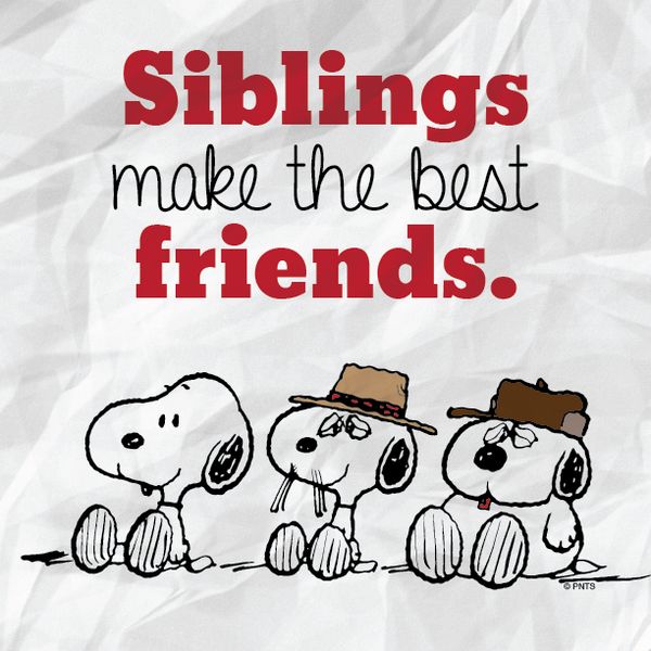 Walking the Dog Charlie Brown and Snoopy Description from pinterestcom  I searched for this on bingcomimages  Snoopy family Snoopy love Snoopy
