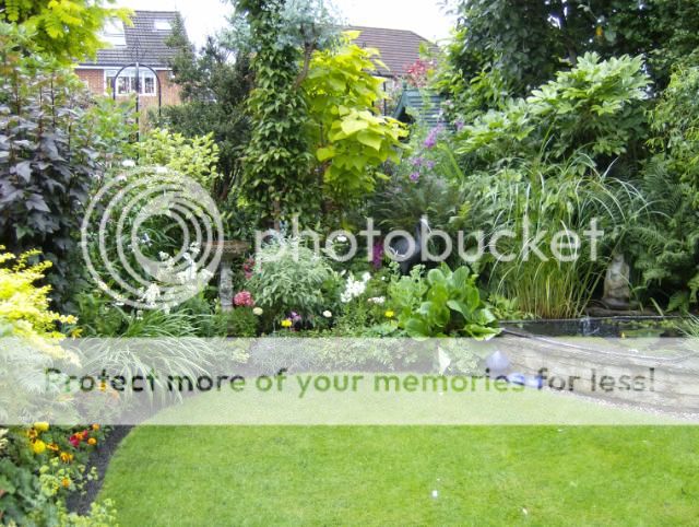 http://i1131.photobucket.com/albums/m551/lilylouise1/frontgarden014-3.jpg