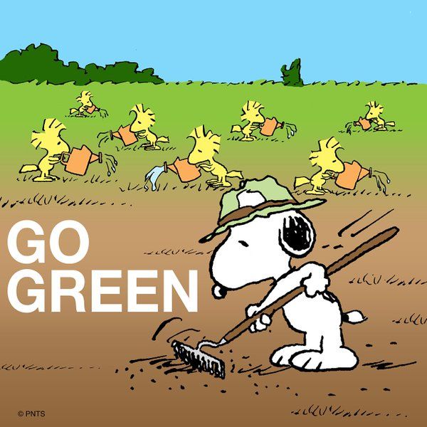 34 Snoopys Garden ideas  snoopy snoopy love charlie brown and snoopy