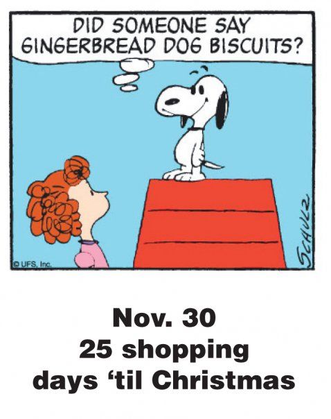 Nov 30 - This is a classic countdown panel from 2009