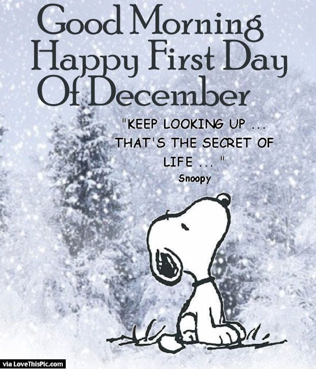 460 Best December images ideas  december images hello