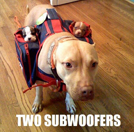 Image result for funny subwoofer images