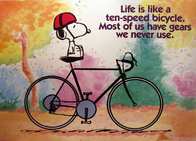 Laminated Snoopy Wall Poster  Snoopy quotes Snoopy Snoopy love