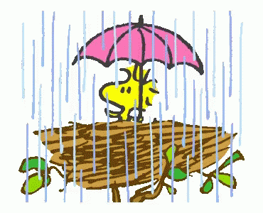 Snoopy Woodstock GIF - Snoopy Woodstock Rain - Discover  Share GIFs   Snoopy and woodstock Snoopy wallpaper Snoopy images