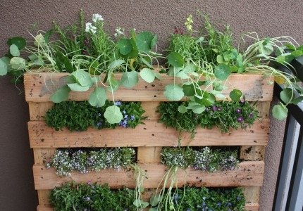 http://img.wonderhowto.com/img/33/34/63478046067677/0/10-creative-and-unique-diy-planters-inspire-your-home-garden.w654.jpg