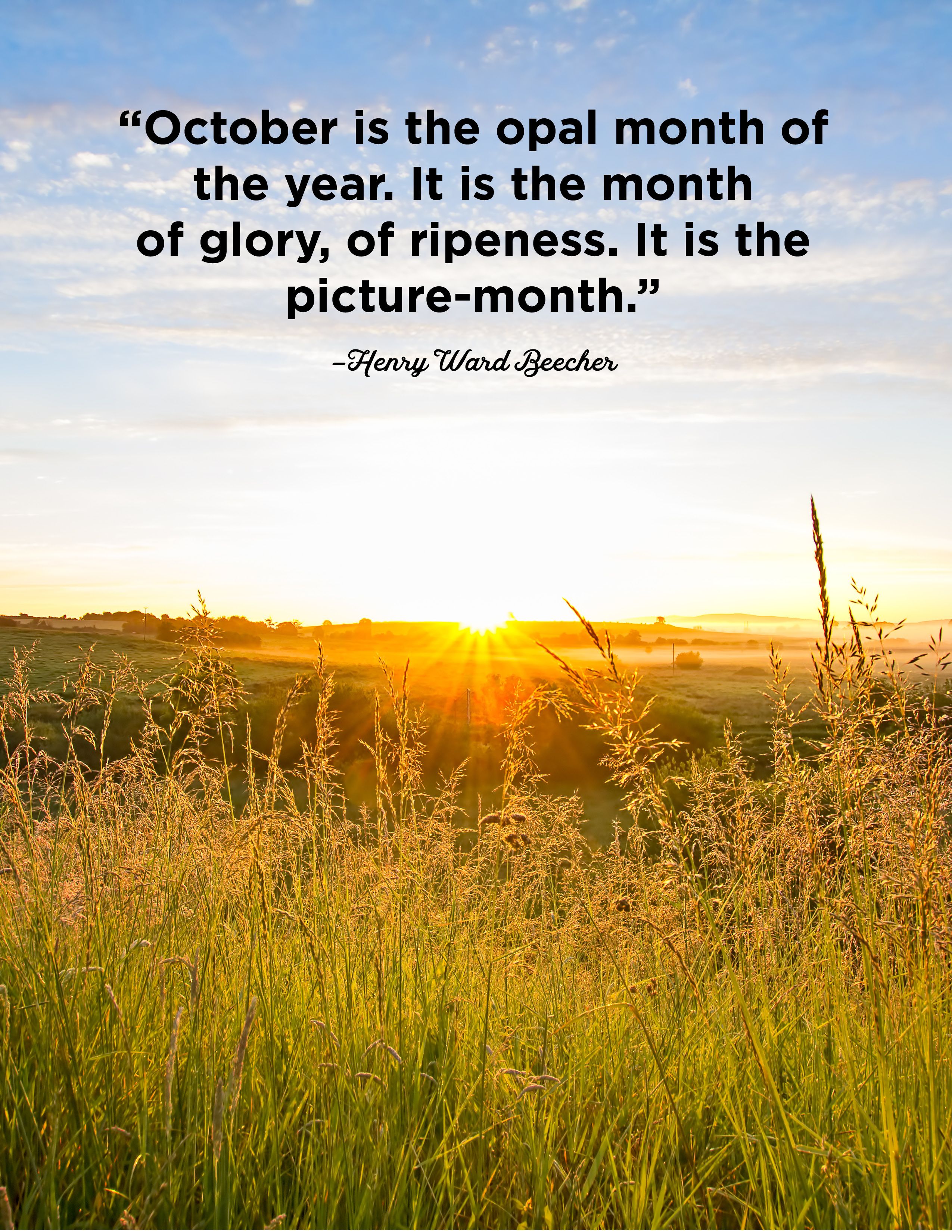 25 October Quotes - Famous Sayings and Quotes about October