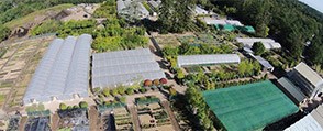 http://www.crocus.co.uk/images/affiliates/crocus/home/about-panel-nursery.jpg