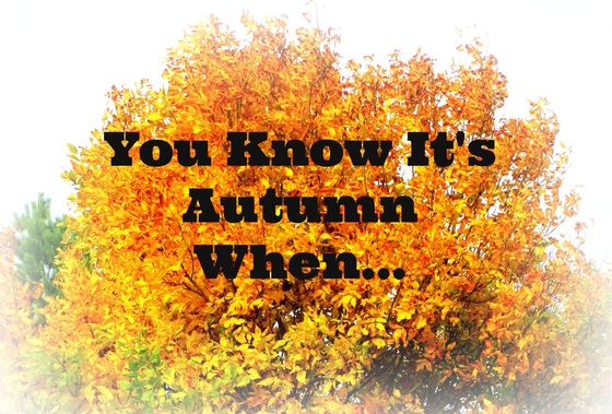 Image result for its autumn