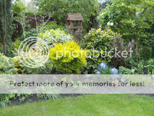 http://i1131.photobucket.com/albums/m551/lilylouise1/gardenviews030.jpg