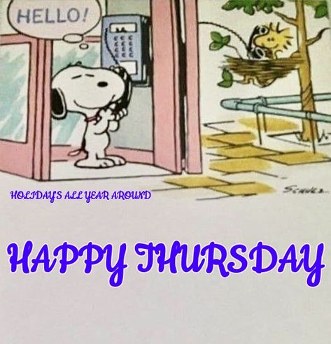 110 Snoopy Thursday ideas  snoopy snoopy quotes happy thursday