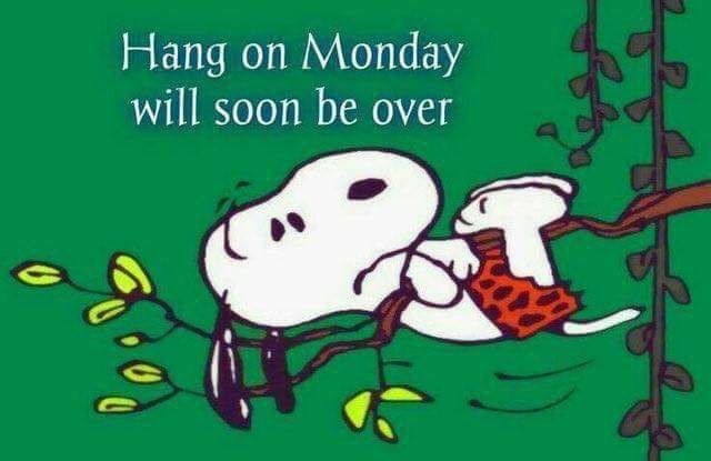 monday  Good morning funny pictures Snoopy quotes Snoopy love