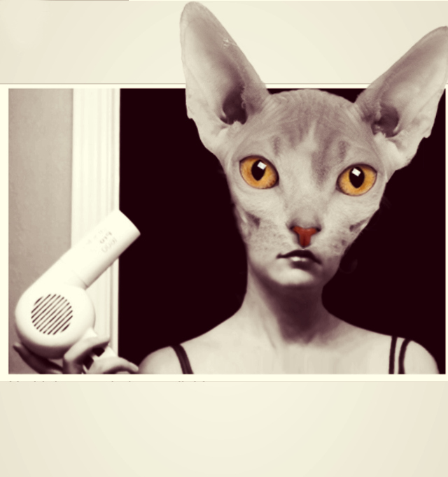 Image result for Lady turning into cat pictures