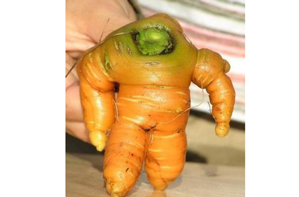 Image result for funny shaped carrots