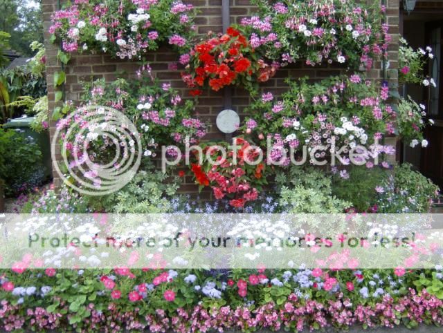 http://i1131.photobucket.com/albums/m551/lilylouise1/ghandbees025.jpg