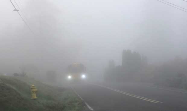 Image result for fog images
