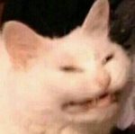 Oomkin